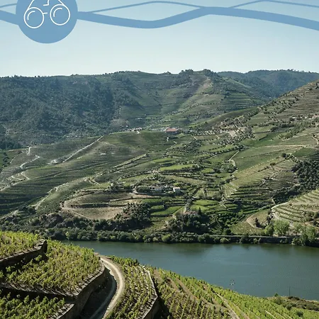 Luar Douro Casa vacanze Varzea