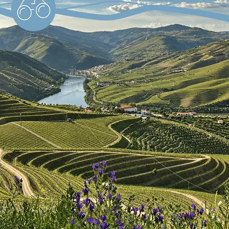 Luar Douro Varzea